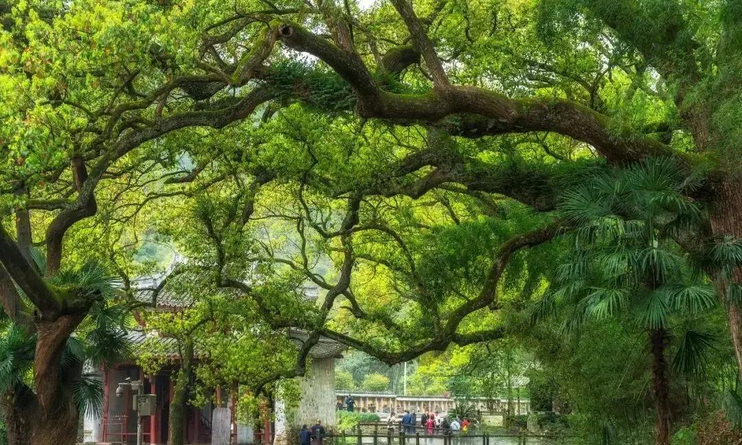 适合女性独自旅行的6个城市,心累了,就去小住三五天吧!(图1)